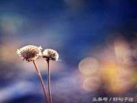 无锡和杰织印有限公司