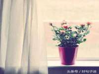 无锡和杰织印有限公司