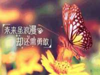 无锡和杰织印有限公司
