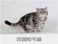 无锡和杰织印有限公司