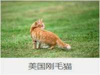 无锡和杰织印有限公司