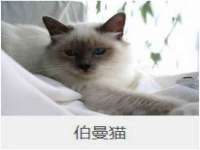 无锡和杰织印有限公司