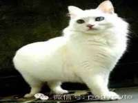 无锡和杰织印有限公司