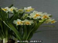 无锡和杰织印有限公司