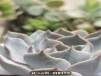 无锡和杰织印有限公司