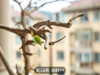无锡和杰织印有限公司