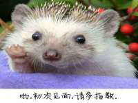 无锡和杰织印有限公司