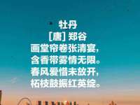 无锡和杰织印有限公司