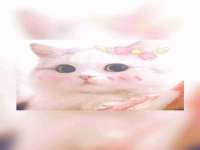 无锡和杰织印有限公司