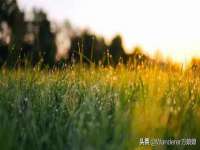 无锡和杰织印有限公司