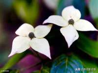 无锡和杰织印有限公司