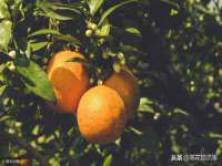 无锡和杰织印有限公司