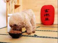 无锡和杰织印有限公司