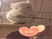 无锡和杰织印有限公司