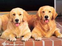 无锡和杰织印有限公司