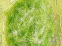 无锡和杰织印有限公司