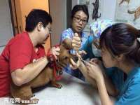 无锡和杰织印有限公司