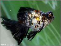无锡和杰织印有限公司