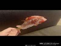 无锡和杰织印有限公司